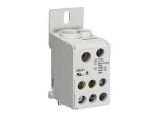 ONE PHASE POWER DISTRIBUTION BLOCK, 125 AMPERE - 600 VOLT AC. DIN RAIL OR PANEL MOUNT. LINE SIDE TERMINAL ACCEPTS #8 - 2 AWG SIZE CONDUCTOR.  LOAD SIDE HAS SIX #14 - 6 AWG SIZE TERMINALS.